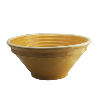 Ribbed Bowl in Yellow -...